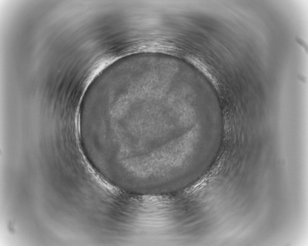 X0000093451032200711021110