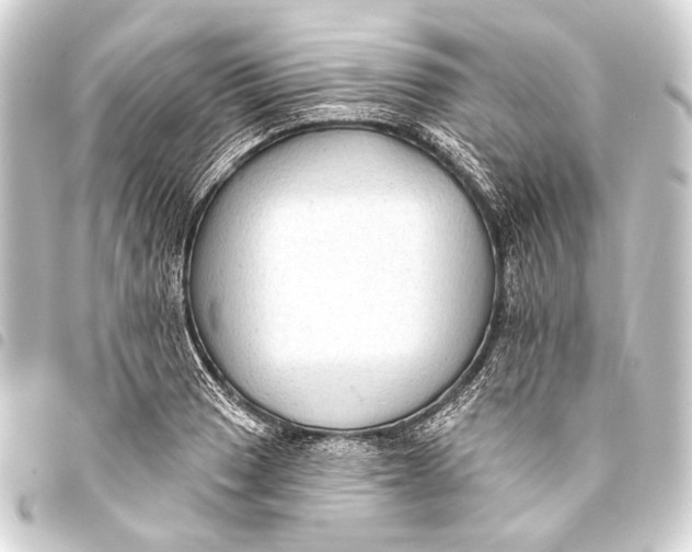 X0000093451033200711021110