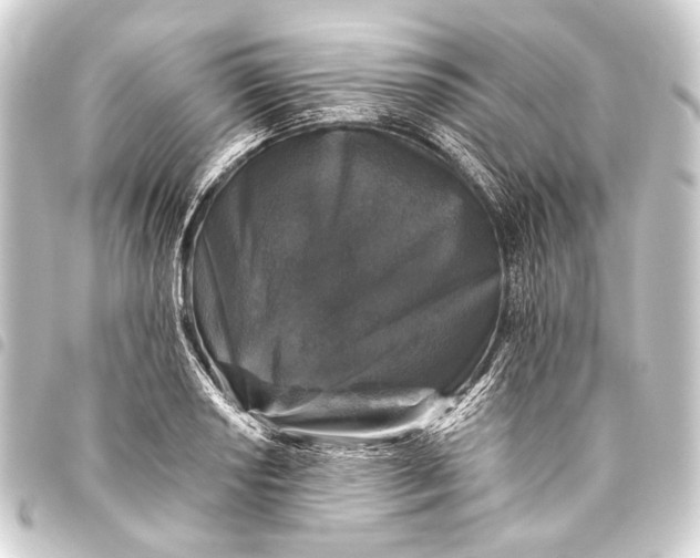 X0000093451034200711021110