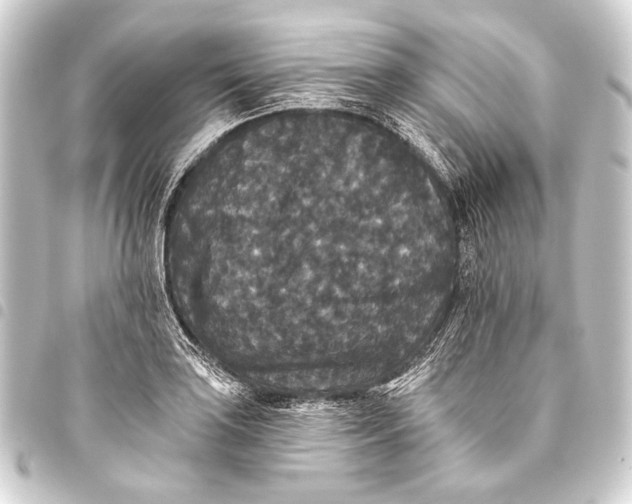 X0000093451035200711021110