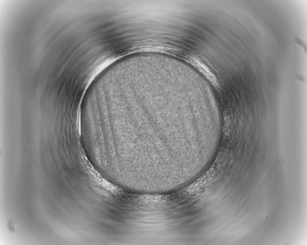 X0000093451036200711021110