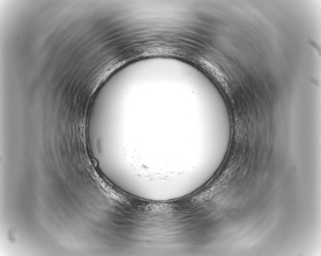 X0000093451041200711021110