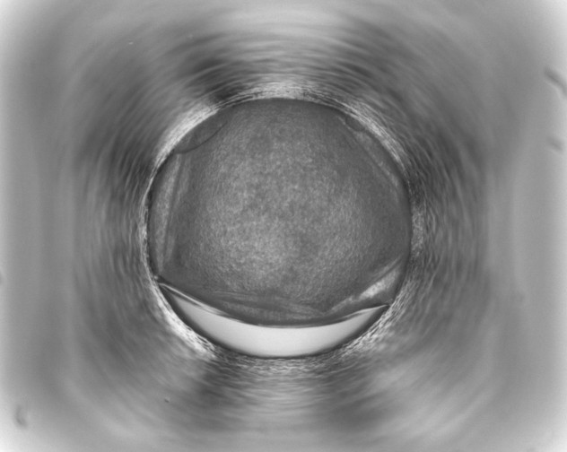 X0000093451042200711021110