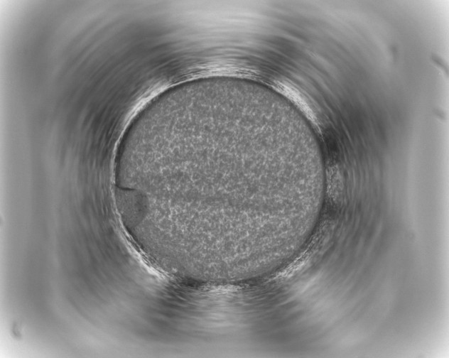 X0000093451043200711021110