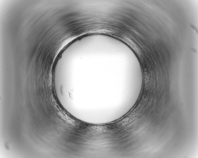 X0000093451044200711021110