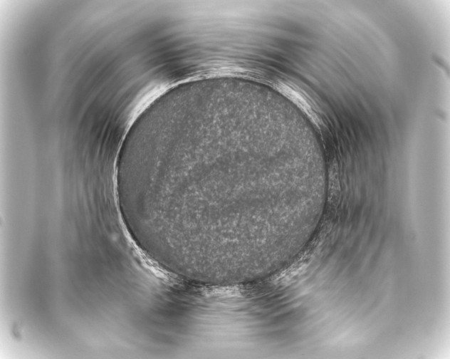 X0000093451047200711021110