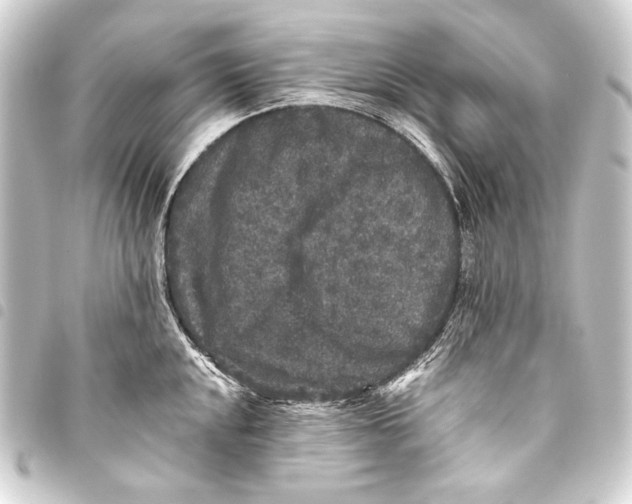 X0000093451048200711021110