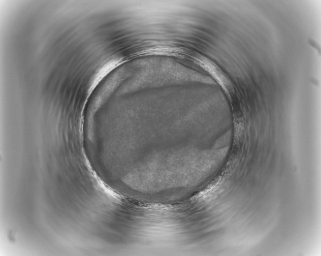 X0000093451050200711021110