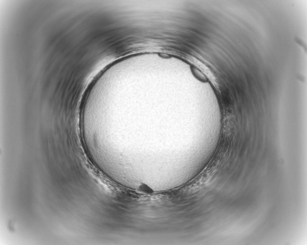 X0000093451051200711021110