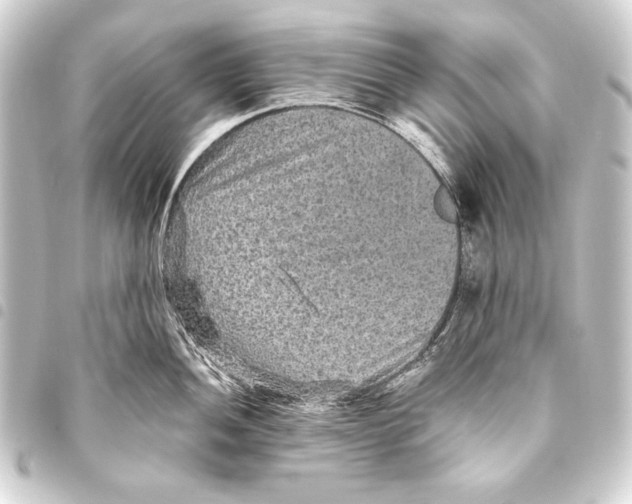 X0000093451052200711021110