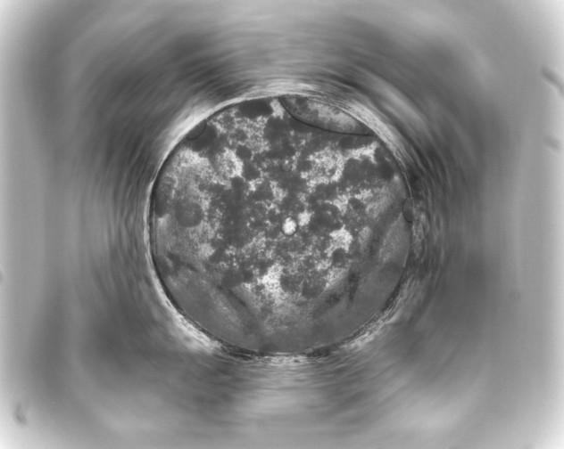 X0000093451055200711021110