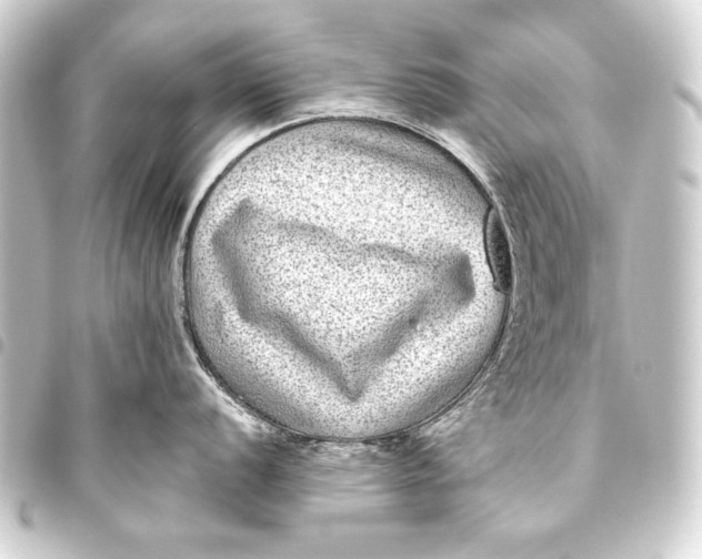 X0000093451056200711021110