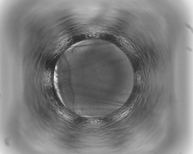 X0000093451060200711021110