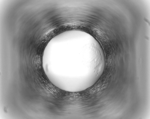 X0000093451062200711021110