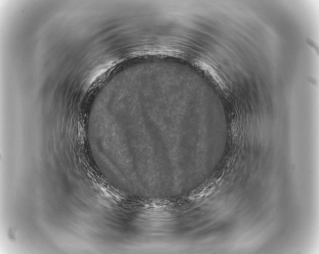 X0000093451064200711021109