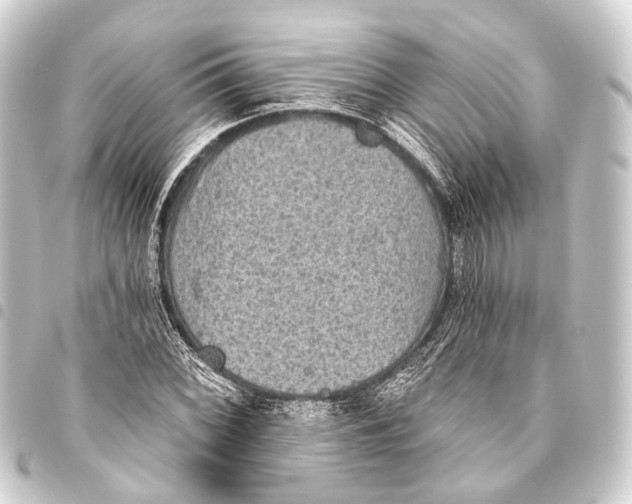 X0000093451068200711021109