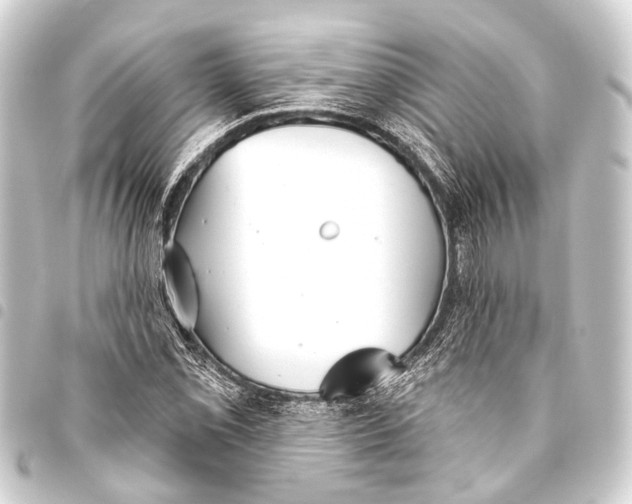 X0000093451069200711021109