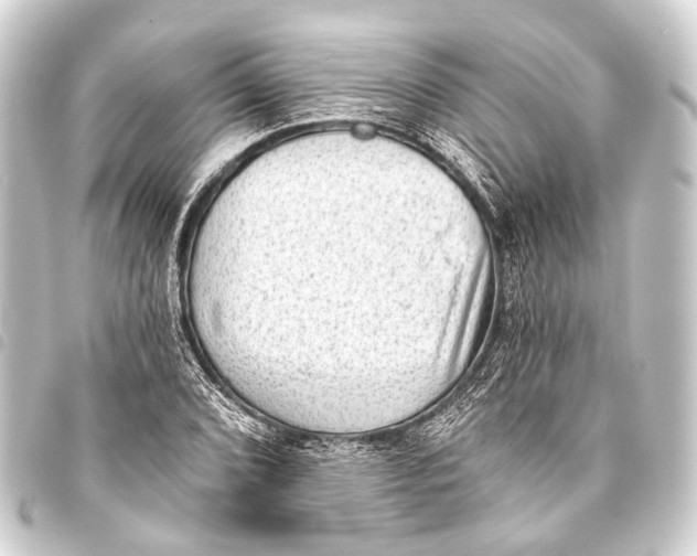 X0000093451072200711021109