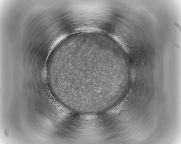 X0000093451074200711021109