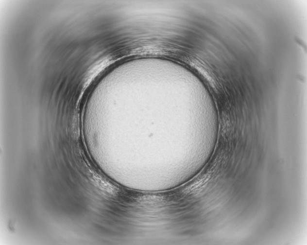 X0000093451075200711021109