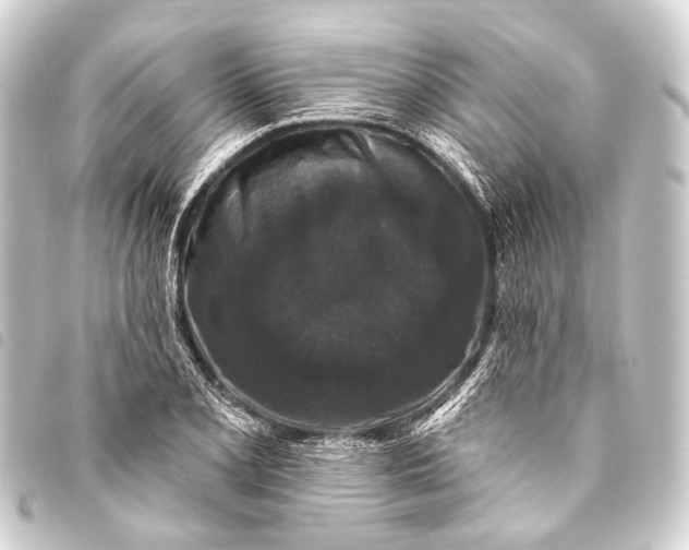 X0000093451077200711021109