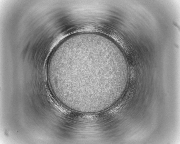 X0000093451078200711021109