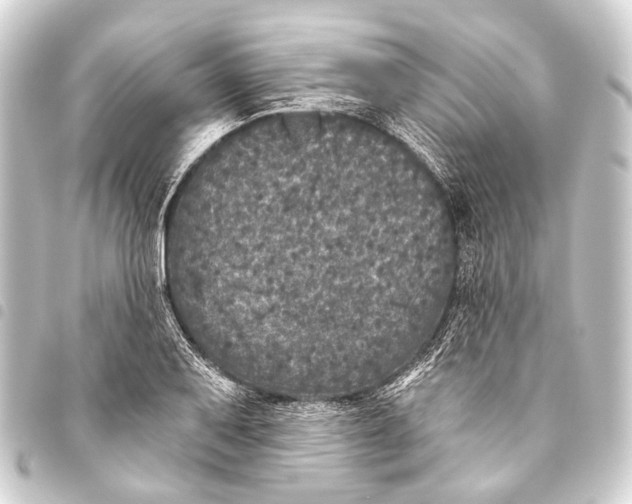 X0000093451079200711021109