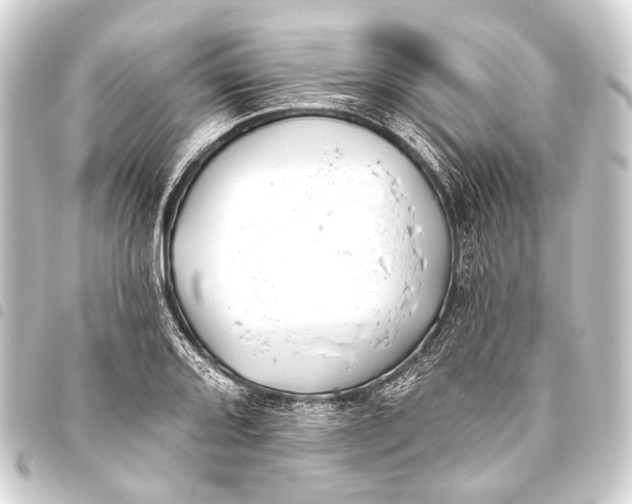 X0000093451080200711021109