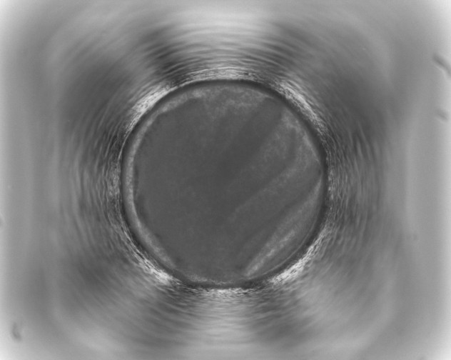 X0000093451081200711021109