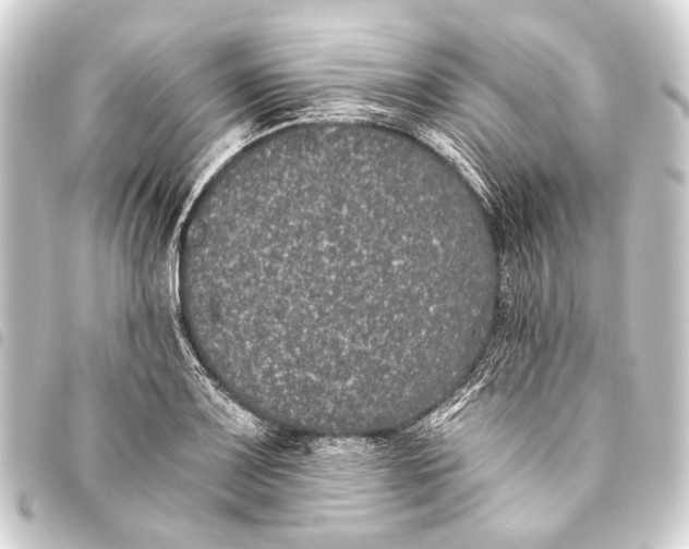 X0000093451083200711021109