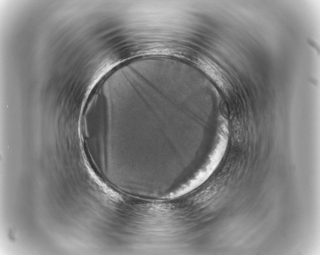 X0000093451084200711021109