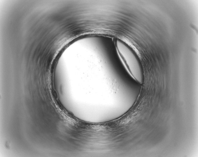 X0000093451085200711021109