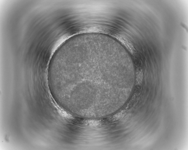 X0000093451086200711021109