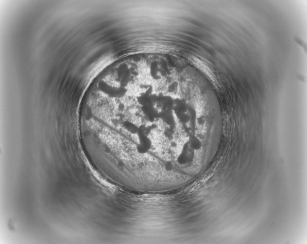 X0000093451087200711021109