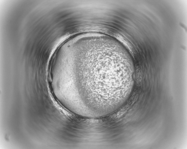 X0000093451088200711021109