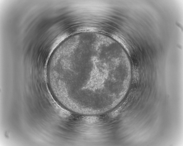 X0000093451090200711021109