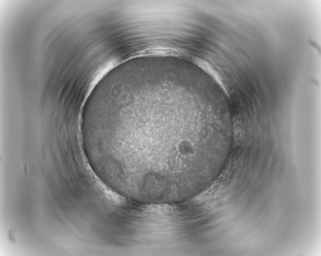 X0000093451091200711021109