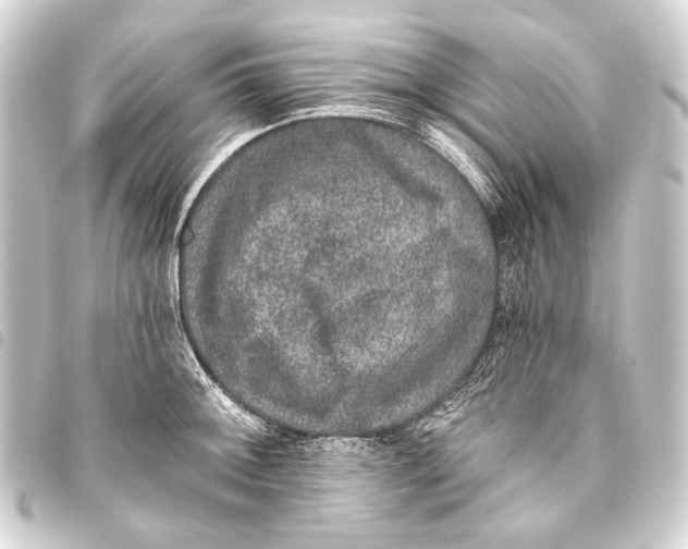 X0000093451092200711021109