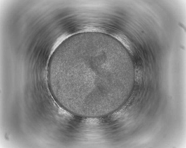 X0000093451094200711021109