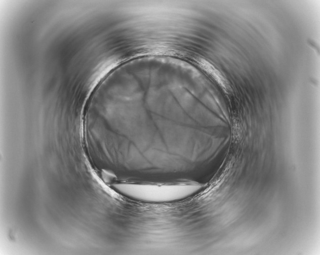 X0000093451095200711021109