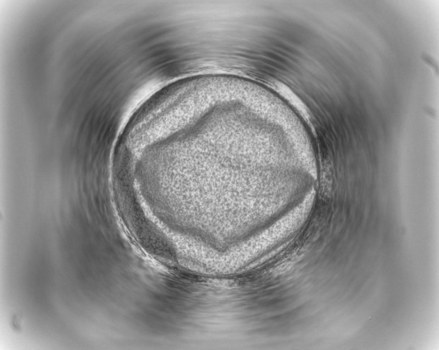 X0000093451096200711021109