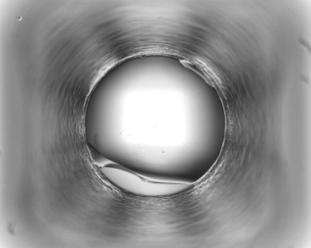 X0000093451097200711021109