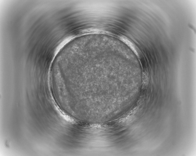 X0000093451098200711021109