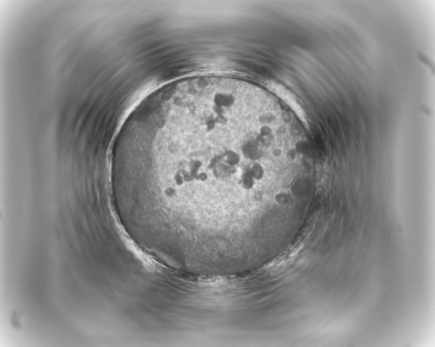 X0000093451099200711021109