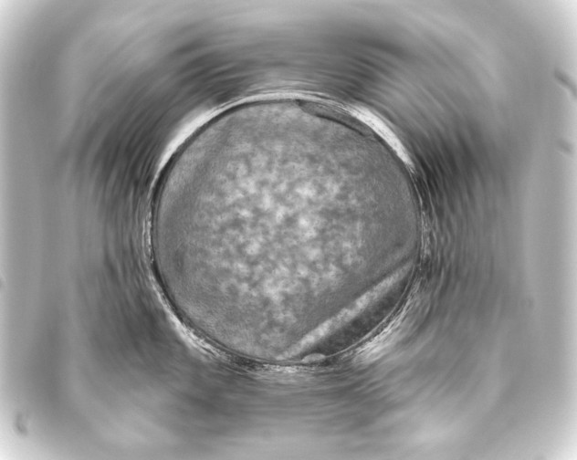 X0000093451101200711021109