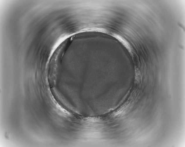 X0000093451102200711021109