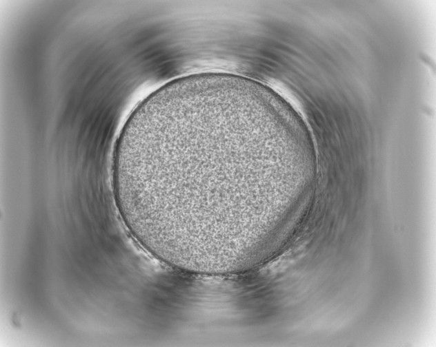 X0000093451104200711021109