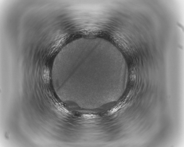 X0000093451108200711021108