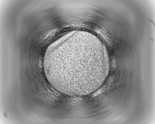 X0000093451110200711021108