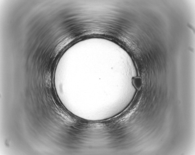 X0000093451113200711021108